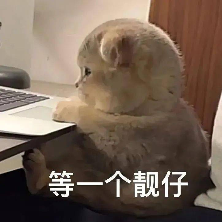 分區講解廠家